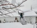 20231129 smal 20231129 smal